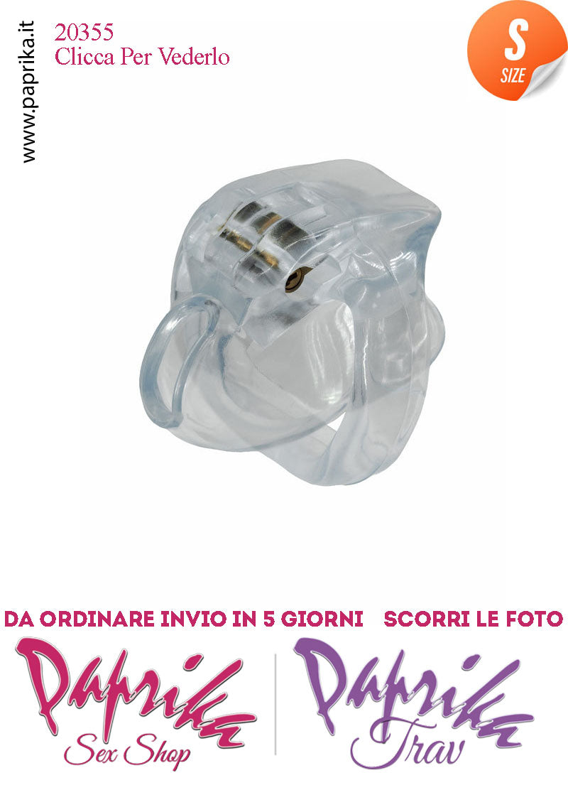 Cintura Di Castità Maschile Small 6 cm Trasparente Chastity Cage 4 Anelli