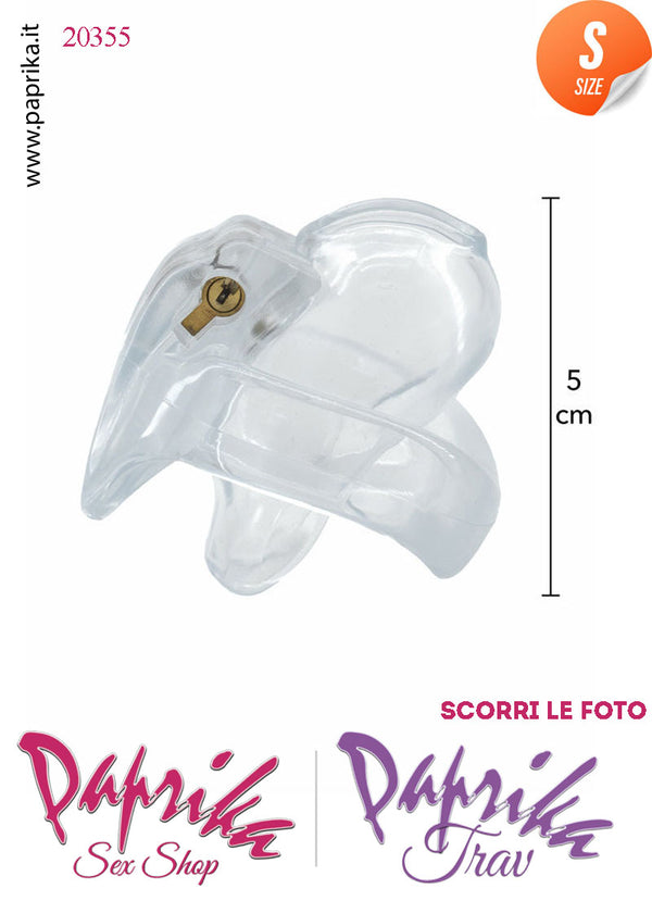Cintura Di Castità Maschile Small 6 cm Trasparente Chastity Cage 4 Anelli