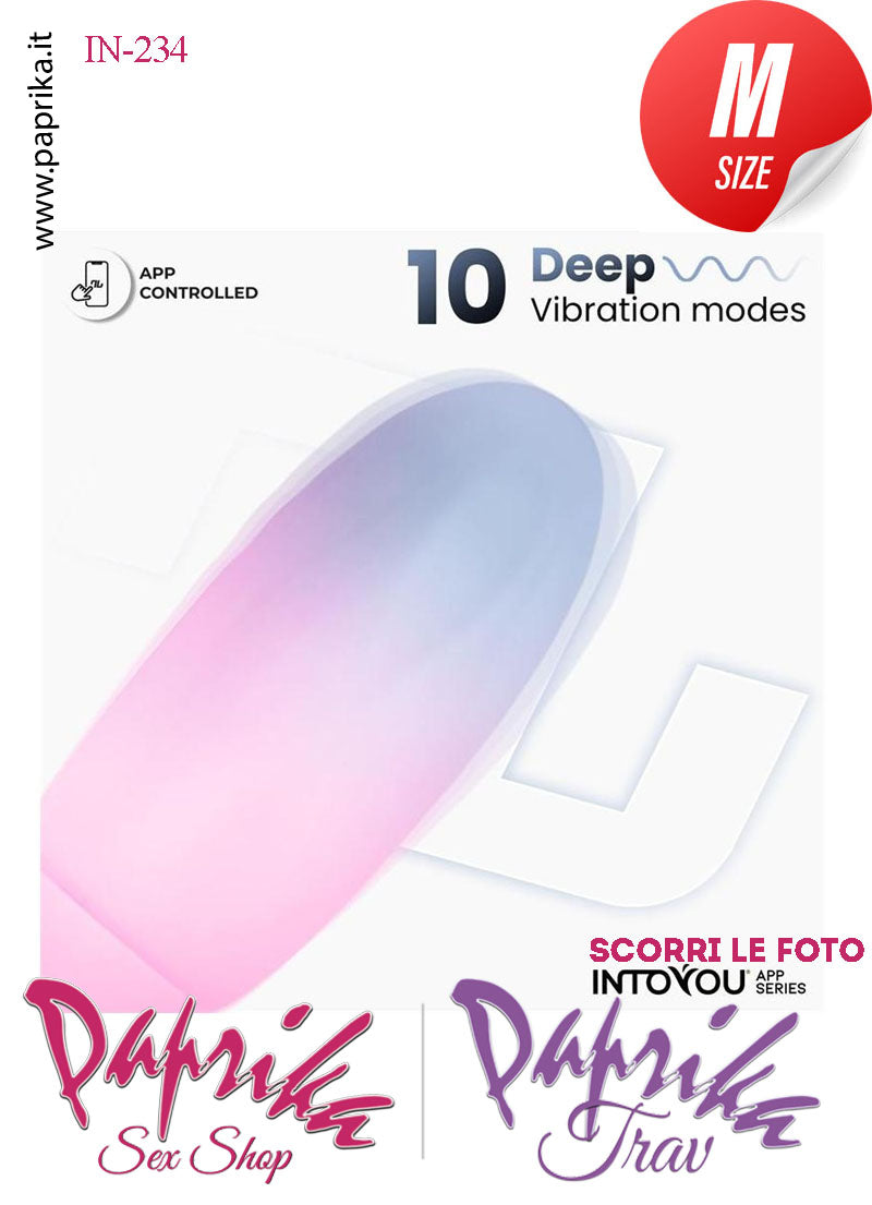 Ovulo Vibrante Silicone Blu Rosa Control Mondo 10 Velocità