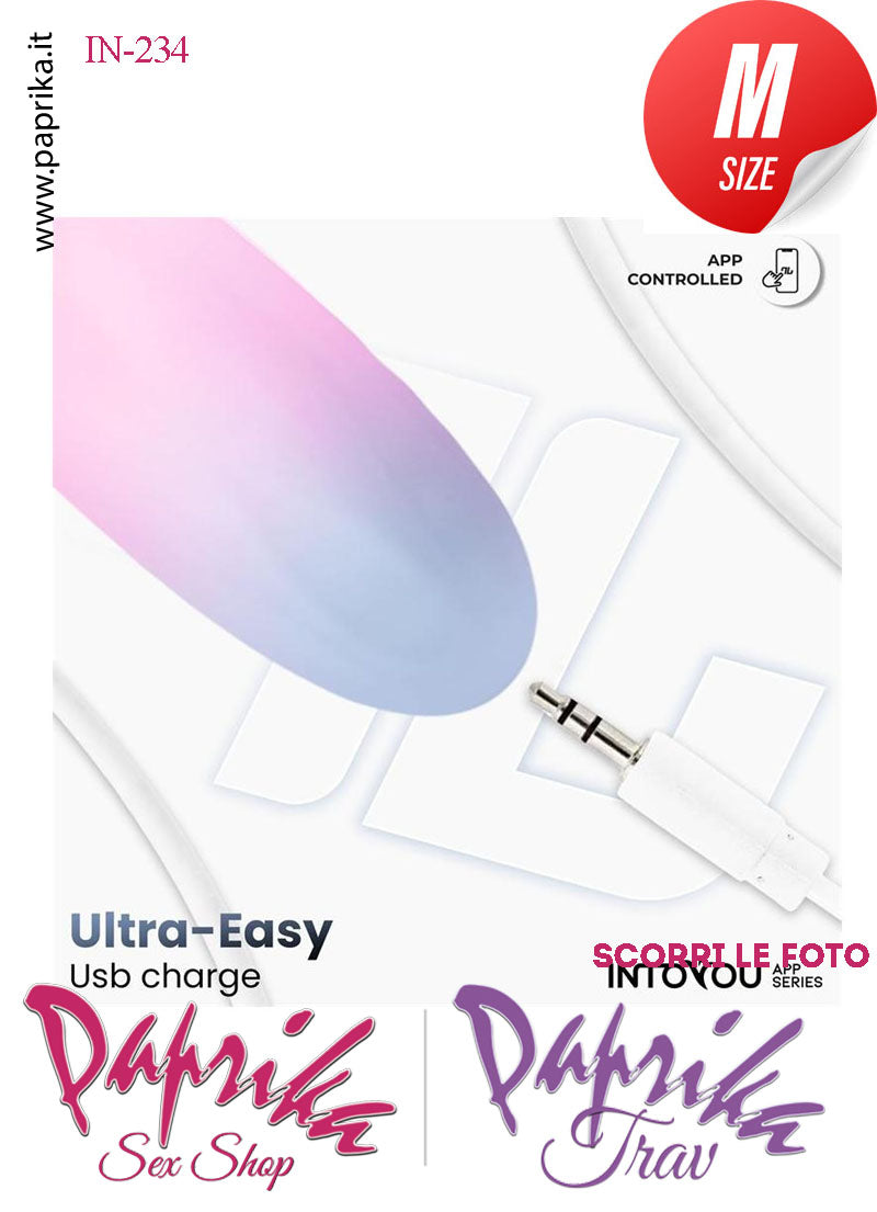 Ovulo Vibrante Silicone Blu Rosa Control Mondo 10 Velocità